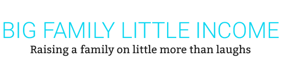 BIG FAMILY little income - Raising a family on little more than laughs